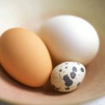Wiadomości o jajach + porównanie jaja kurzego z przepiórczym