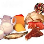 Rola białka w diecie