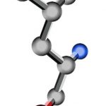BCAA (branched chained amino acids) – jako antykatabolik